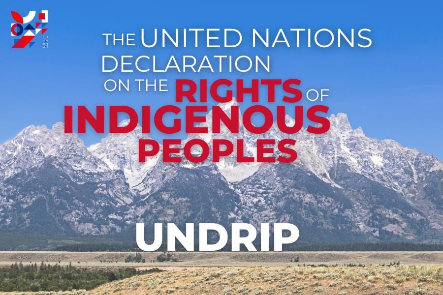 UNDRIP