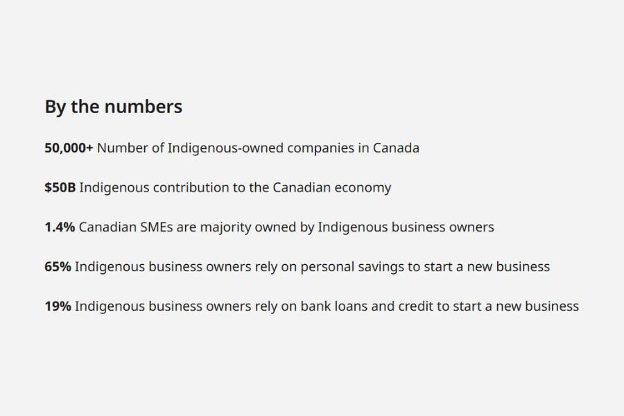 What Does Indigenous Owned Business Mean (2)