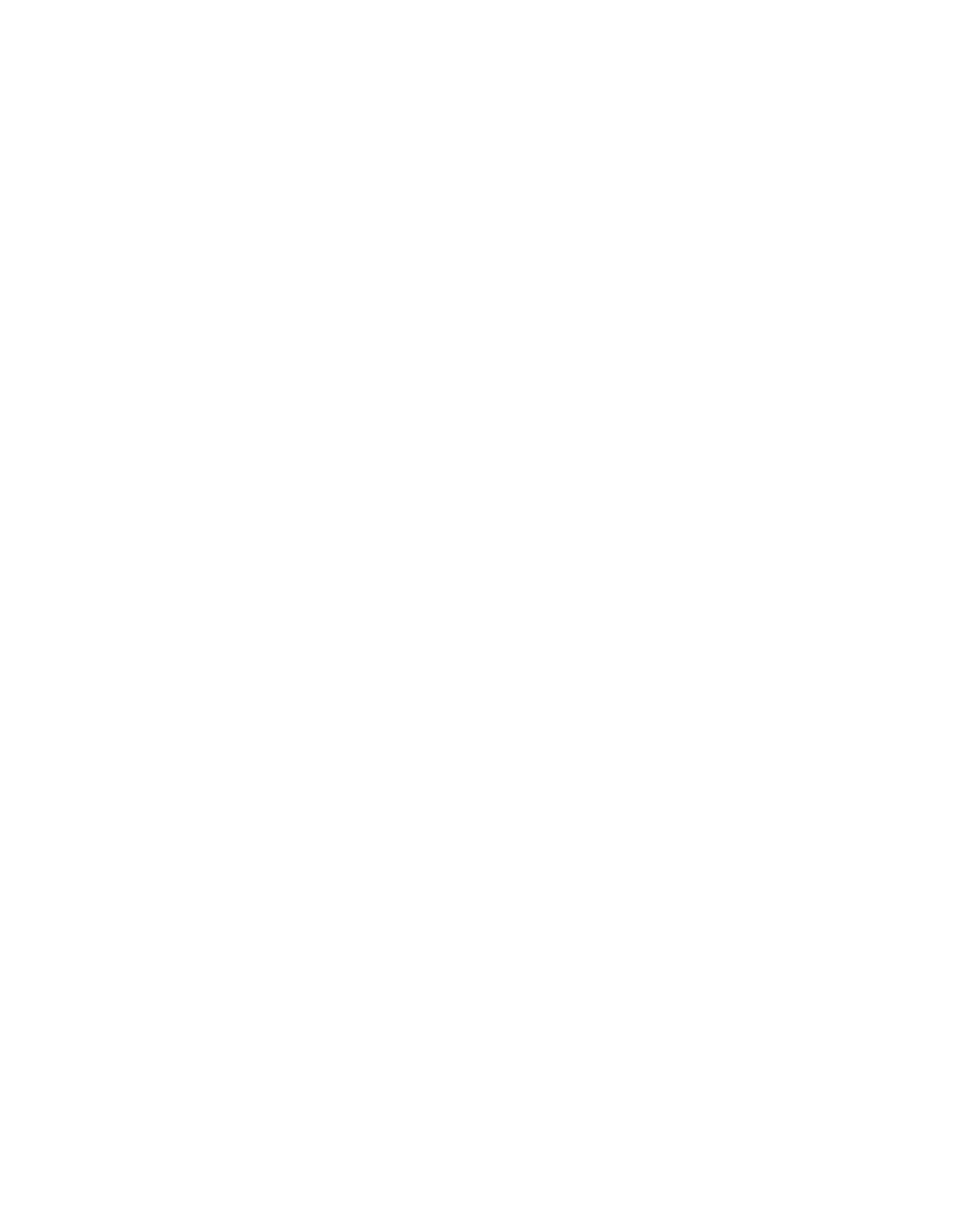 Platinum Sponsors