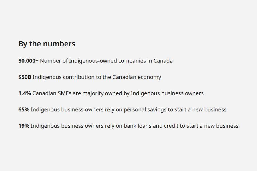 What Does Indigenous Owned Business Mean?